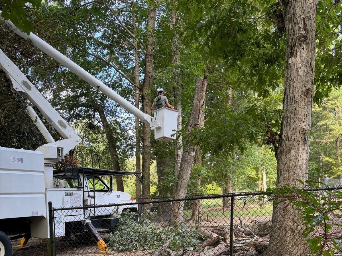 El Costeño Tree Service LLC